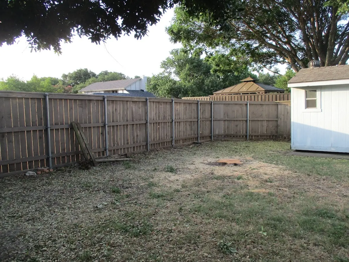 Cleared yard after professional tree removal in Stonington